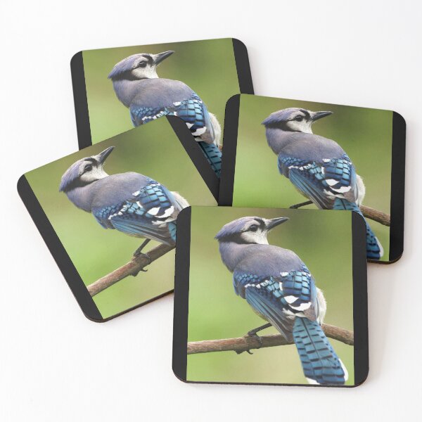 Item preview, Beautiful Bird designed and sold by HnLStore.