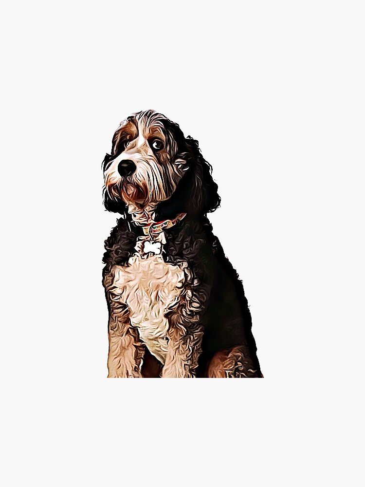 "Kai the Bernedoodle Cartoon " Sticker for Sale by tiktoksticker