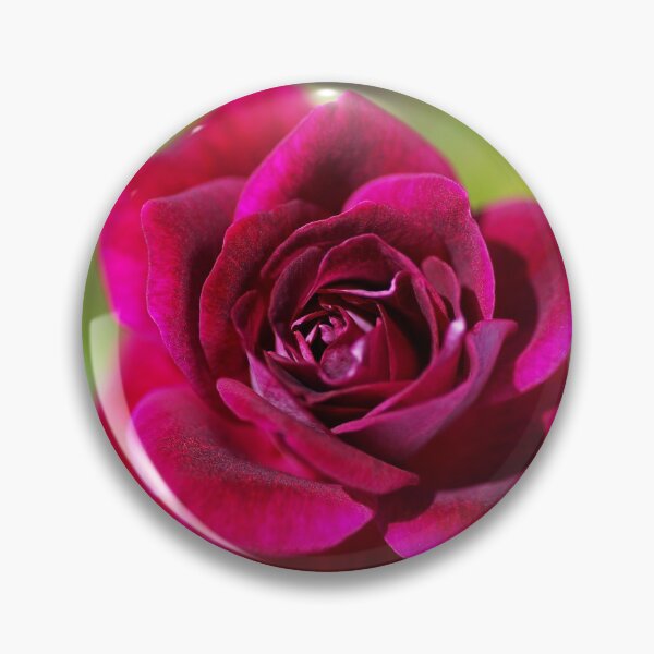 Item preview, So Rich And Deep Pink Rose designed and sold by Joy Watson - Natural Light Photography .