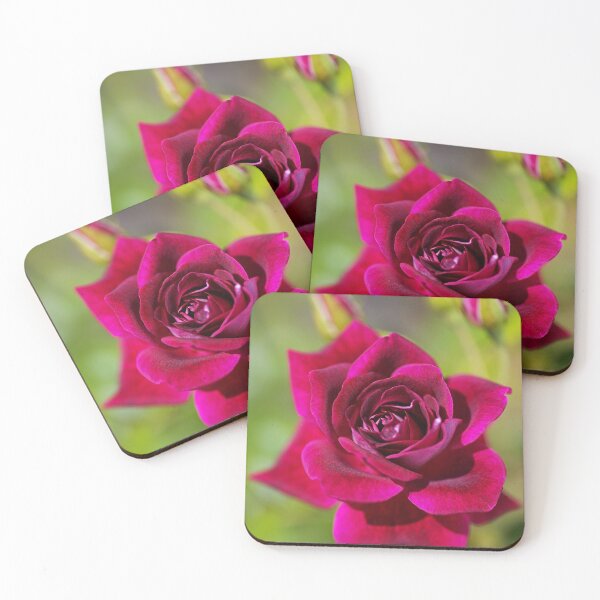Item preview, So Rich And Deep Pink Rose designed and sold by Joy Watson - Natural Light Photography .