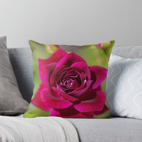 Item preview, So Rich And Deep Pink Rose designed and sold by Joy Watson - Natural Light Photography .