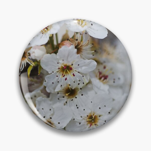 Item preview, Ornamental Pear White Flowers  designed and sold by Joy Watson - Natural Light Photography .