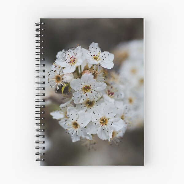 Item preview, Ornamental Pear White Flowers  designed and sold by Joy Watson - Natural Light Photography .