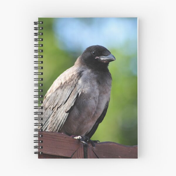 Item preview, Young Crow designed and sold by Randi Grace Nilsberg.