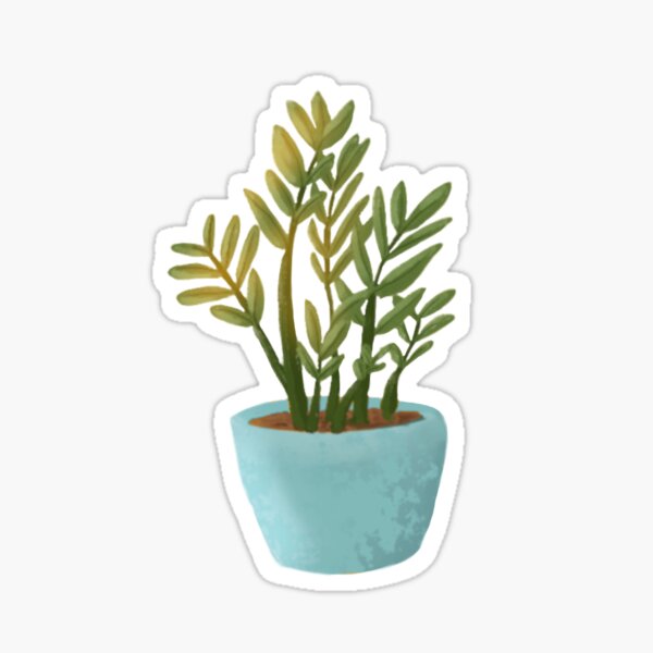 Zz Plant Gifts Merchandise Redbubble