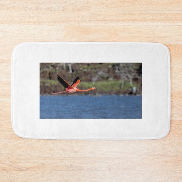 Item preview, Galapagos Islands Flamingo designed and sold by Withns.