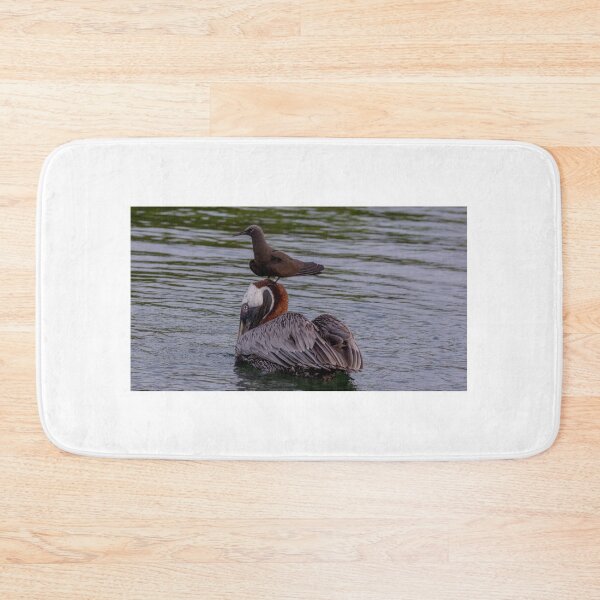 Item preview, Galapagos Islands Pelican with Brown Noddy designed and sold by Withns.