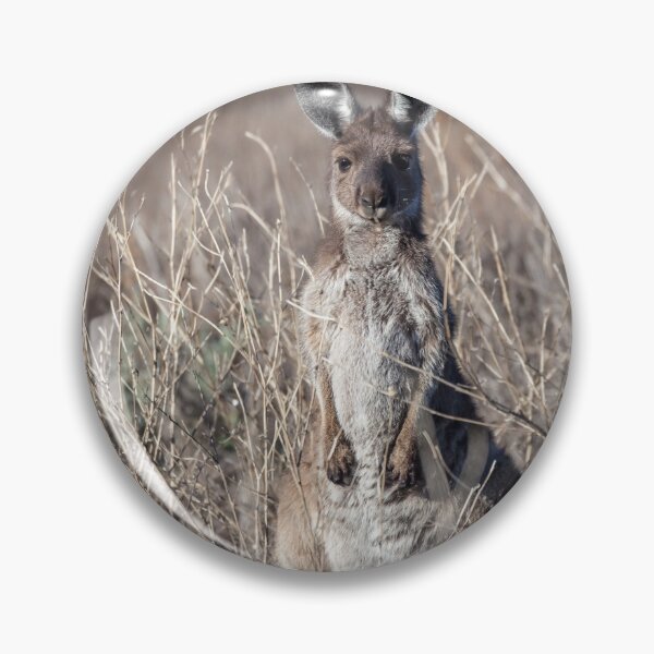 Item preview, Canguro gris designed and sold by Withns.