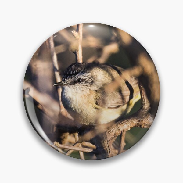 Item preview, Yellow-Rumped Thornbill designed and sold by Withns.