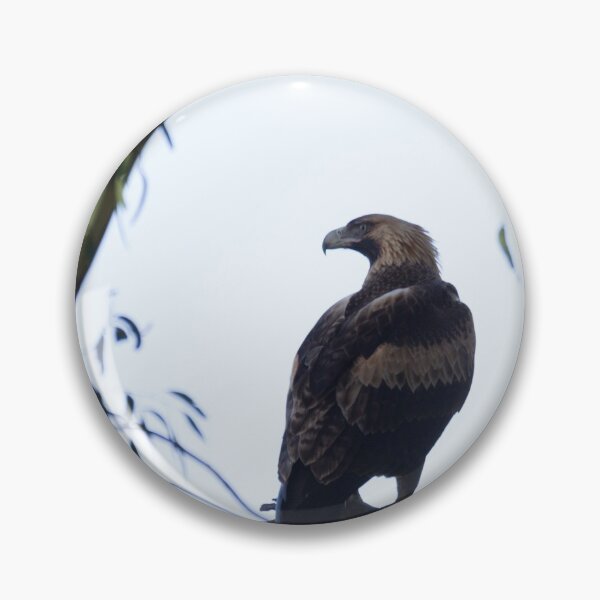 Item preview, Wedge Tail Eagle designed and sold by Withns.