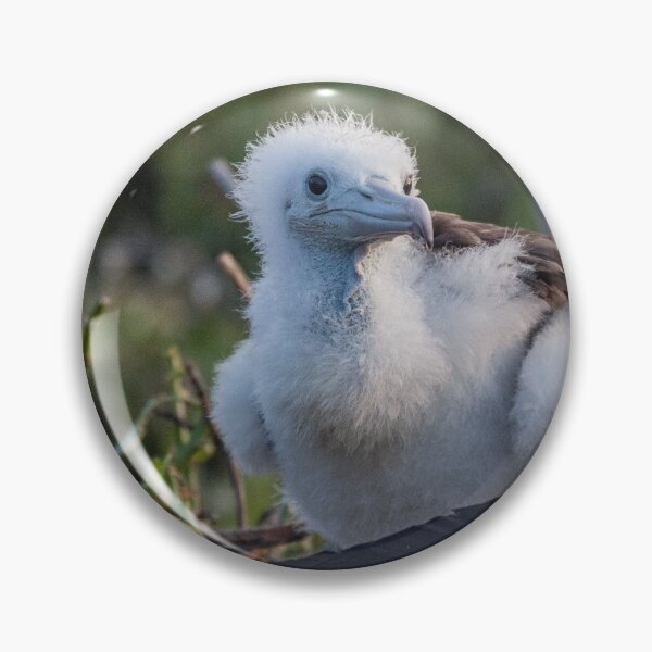 Item preview, Frigate Chick designed and sold by Withns.