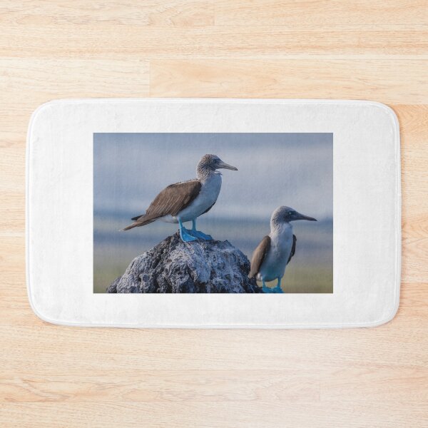 Item preview, Blue Footed Booby designed and sold by Withns.