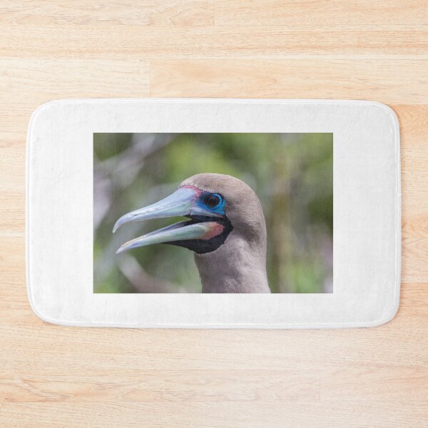 Item preview, Red Footed Booby designed and sold by Withns.