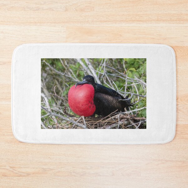 Item preview, Magnificent Frigatebird designed and sold by Withns.