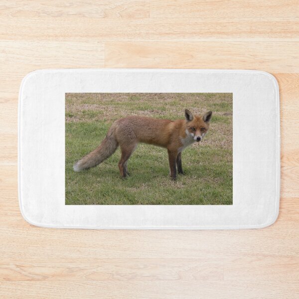 Item preview, Cheeky Fox designed and sold by Withns.