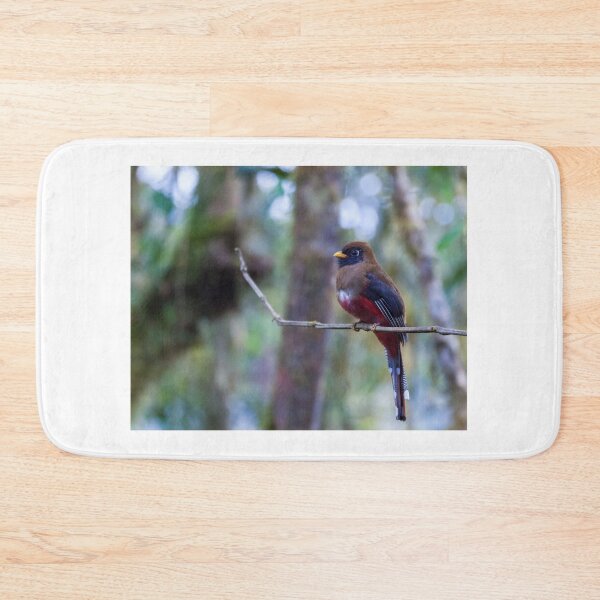 Item preview, Masked Trogon designed and sold by Withns.