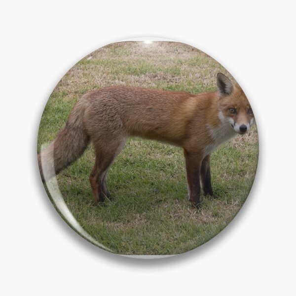 Item preview, Cheeky Fox designed and sold by Withns.