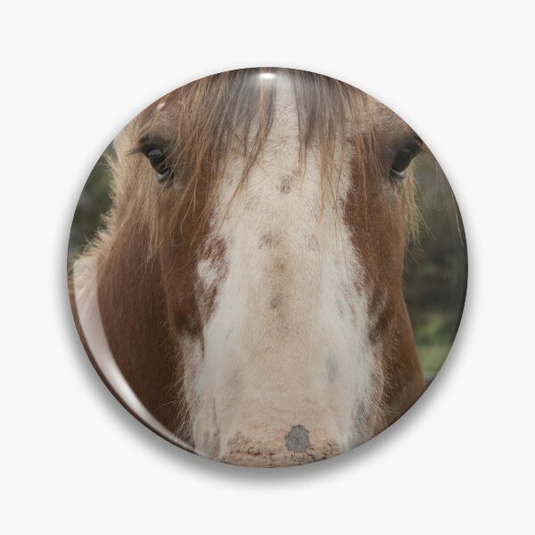 Item preview, Rosie, the Clydesdale. designed and sold by Withns.