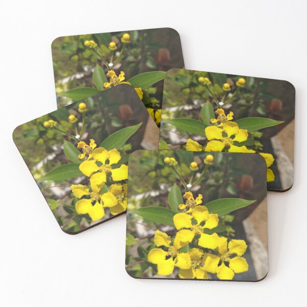 Aperçu de l'œuvre Vigne papillon créée et vendue par ChanuDesigns.