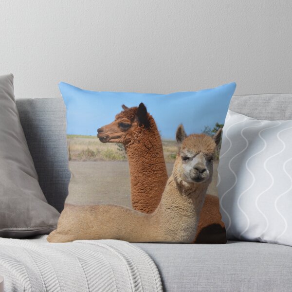 Item preview, Two heads is better than one designed and sold by GrouchyAlpaca.