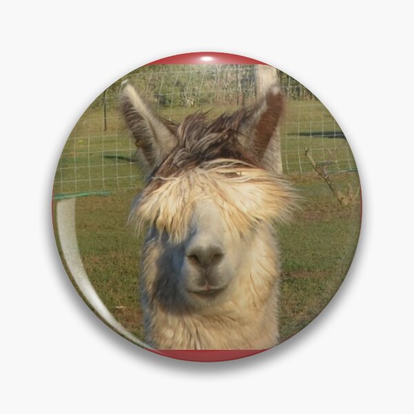 Item preview, Hey Man, where's the hay man designed and sold by GrouchyAlpaca.