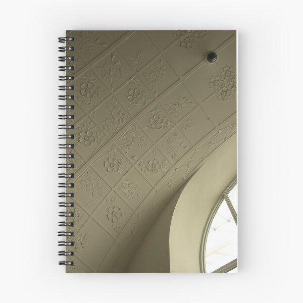 Item preview, Pressed tin ceiling and window detail, Copenhagen designed and sold by ampheebian.