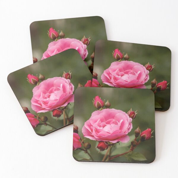 Item preview, Rose Blossoms And Buds designed and sold by Catherine Reading.
