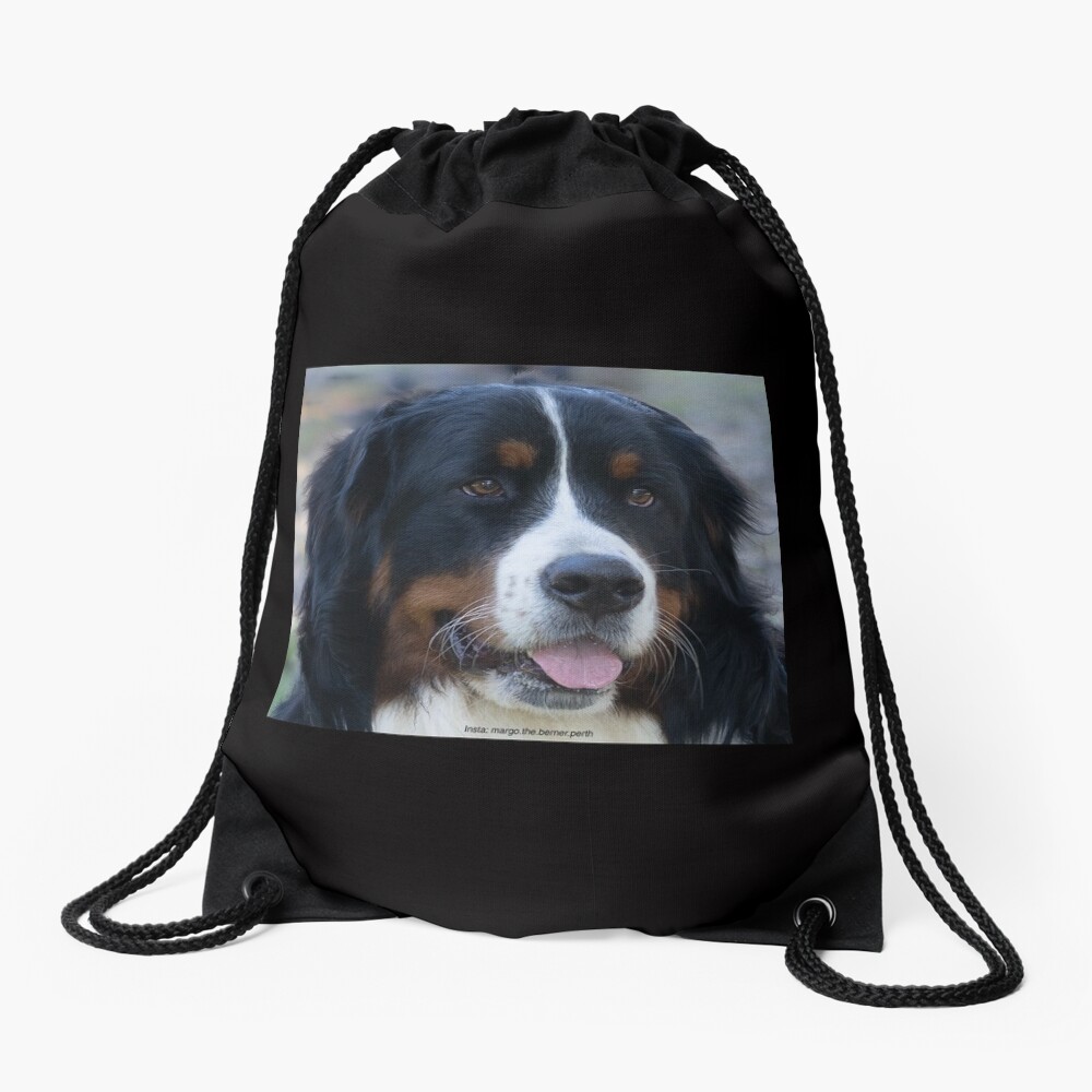 bernese mountain dog backpack