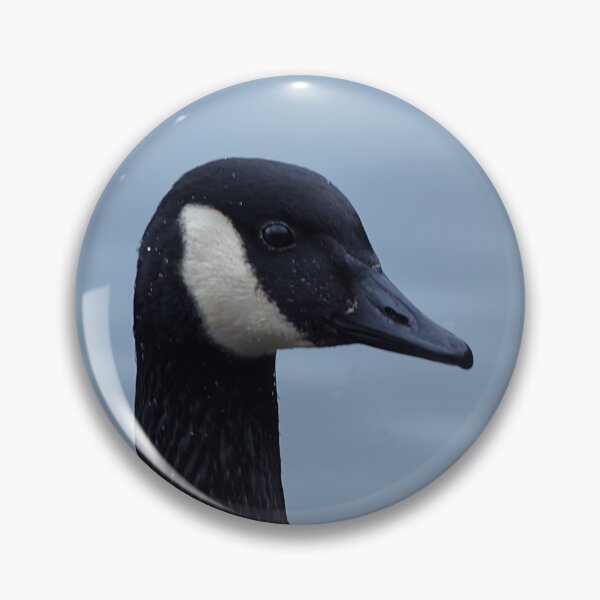 Item preview, Canada Goose, at Alkington Woods, Manchester, UK designed and sold by PicsByTony.