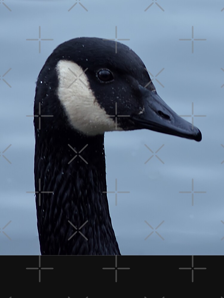 Canada goose shop manchester uk