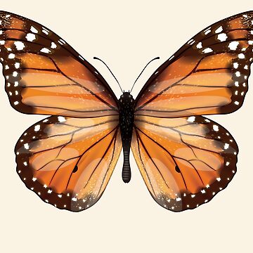 fliegende Schmetterlinge Kochschürze