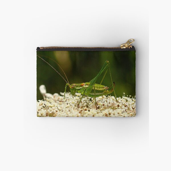 Item preview, Dotted shrimp designed and sold by NW-Photo-Art.