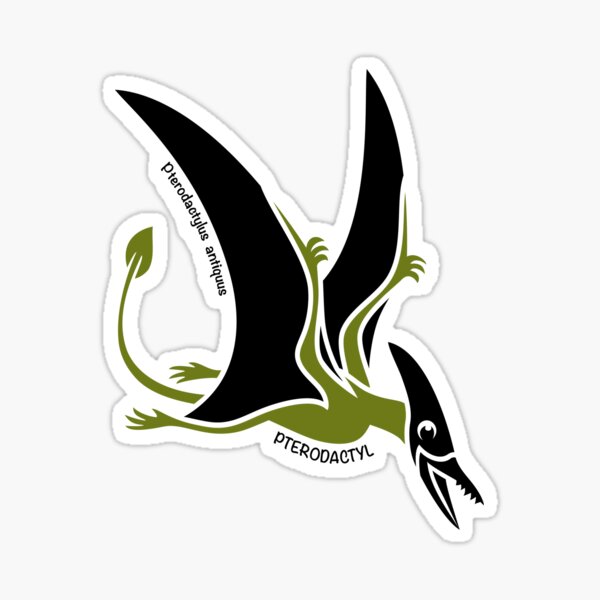 Pterodactyl Dinosaur Green Silhouette with Name Artwork Sticker