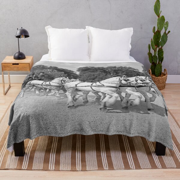 Item preview, r2731/ 14 Nostalgie " Le Haras du Pin " Finition 2021 "  Caléche et chevaux en action  (n&b)(t) Olavia-Olao Okaio Créations designed and sold by o.okaïo.