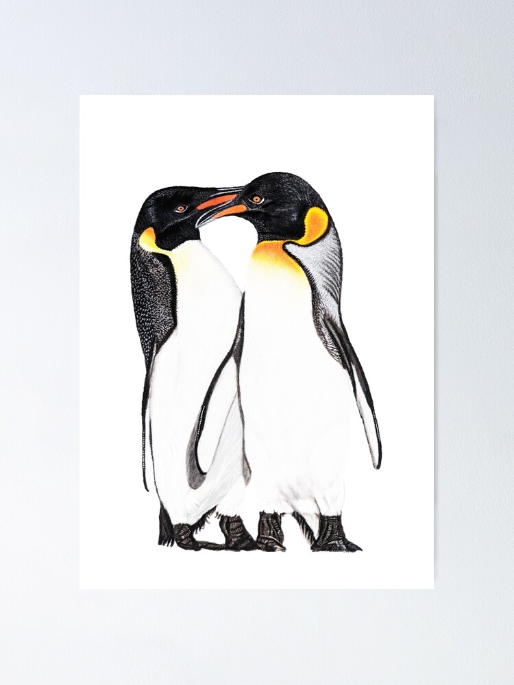 Póster «Pareja de pingüinos» de IslesArt | Redbubble