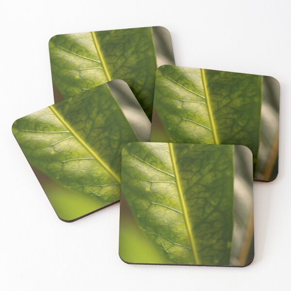 Item preview, Croton leaf macro detail designed and sold by ampheebian.