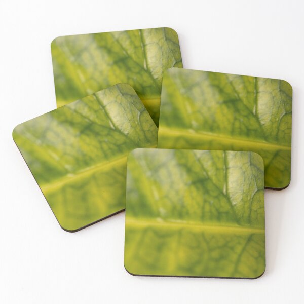 Item preview, croton leaf detail landscape designed and sold by ampheebian.