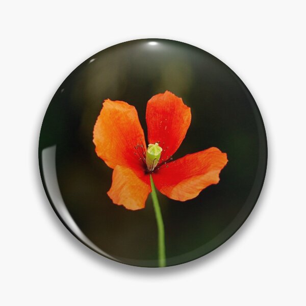 Item preview, Sand poppy designed and sold by NW-Photo-Art.