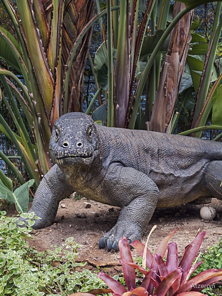 Komodo dragon by Atzerom