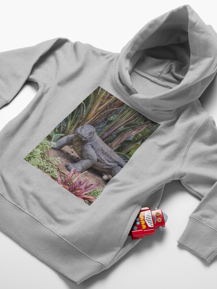 Alternate view of Komodo dragon Toddler Pullover Hoodie