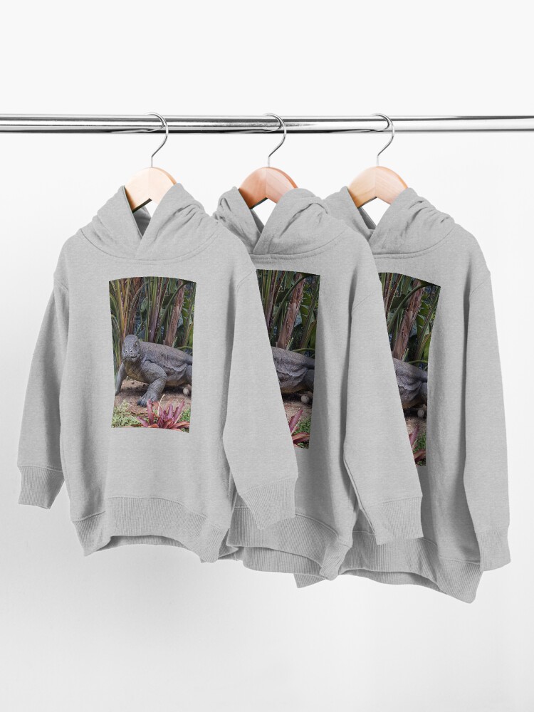 Alternate view of Komodo dragon Toddler Pullover Hoodie
