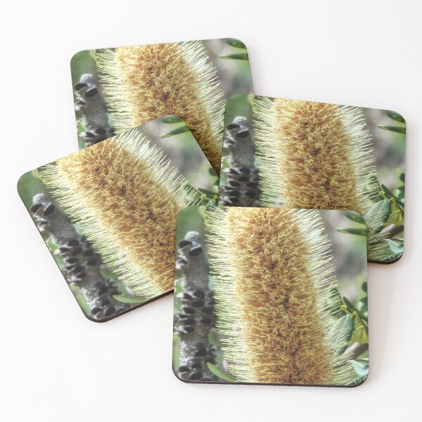 Item preview, Coastal Banksia designed and sold by SACRED NATURE DESIGNS.