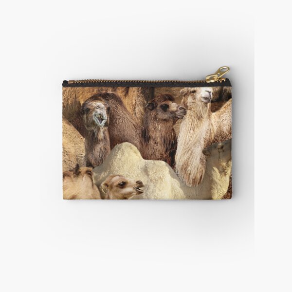 Item preview, Camels designed and sold by MaxencePierrard.