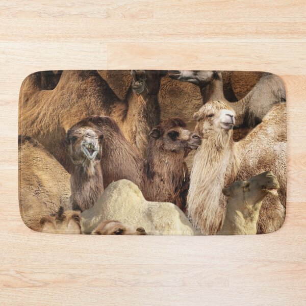 Item preview, Camels designed and sold by MaxencePierrard.