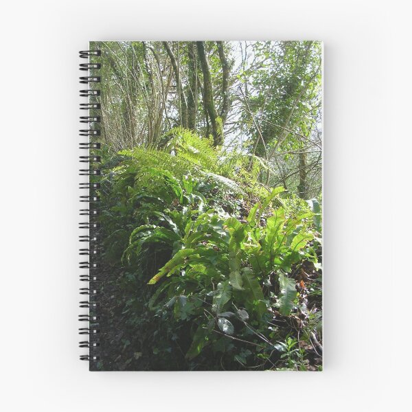 Item preview, Ferns On The Wall designed and sold by lezvee.