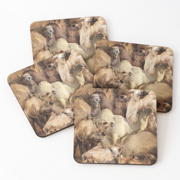 Item preview, Camels designed and sold by MaxencePierrard.