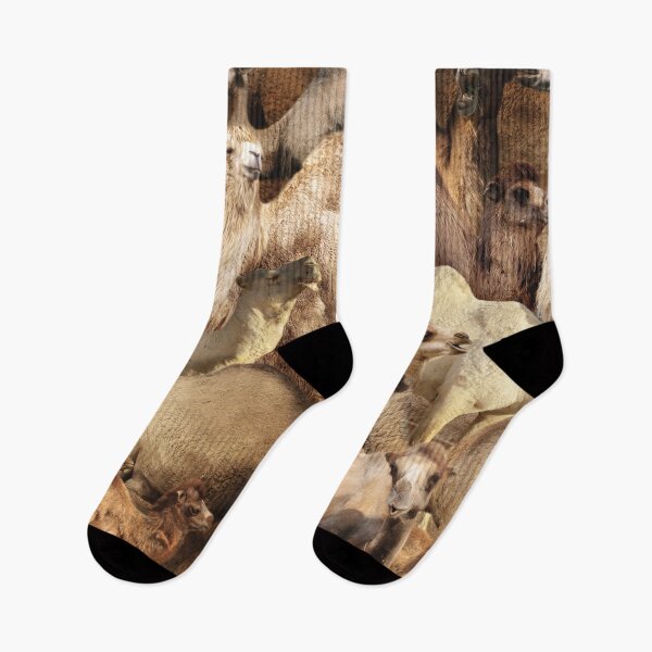 Item preview, Camels designed and sold by MaxencePierrard.