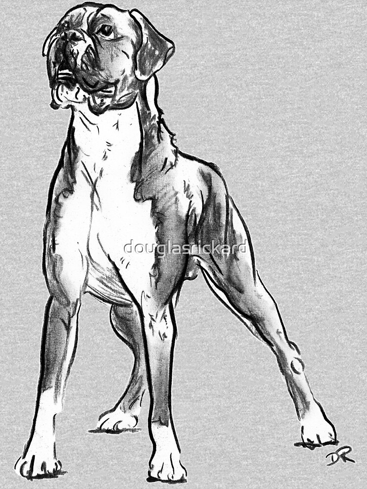 Boxer Dog Drawing by douglasrickard