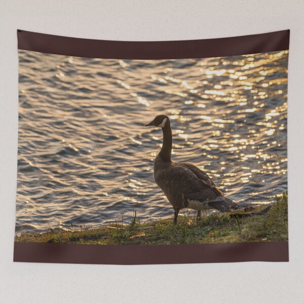 Item preview, Backlit Canada Goose Sunset designed and sold by mljdwhite.