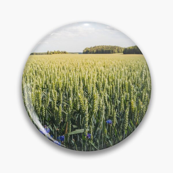 Artikelvorschau, Sommerfelder und Kornblumen entworfen und verkauft von Nicklas81.
